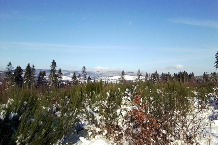 Cosy Apartment In Menkhausen Near The Ski Area Schmallenberg Luaran gambar