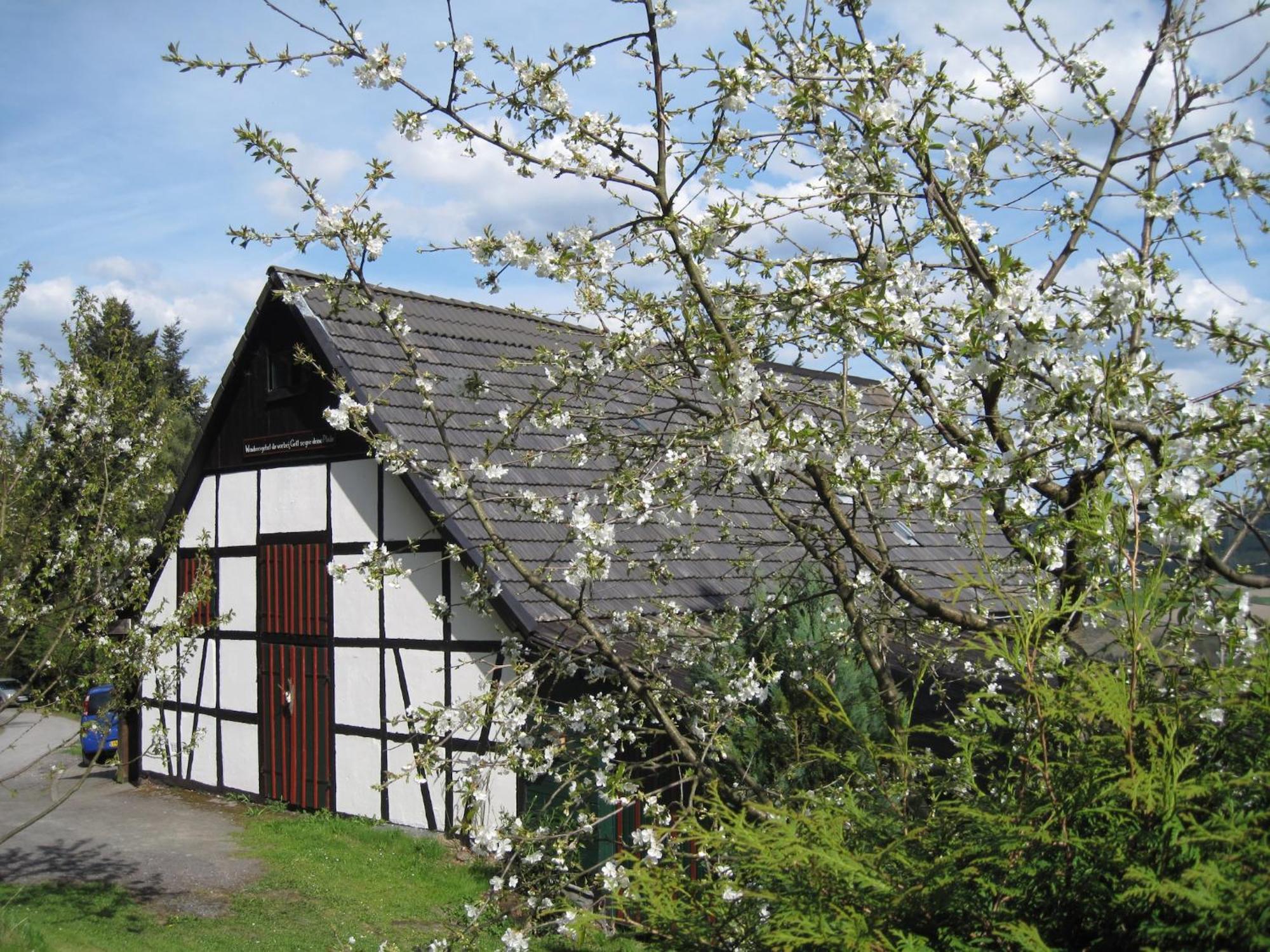 Cosy Apartment In Menkhausen Near The Ski Area Schmallenberg Luaran gambar