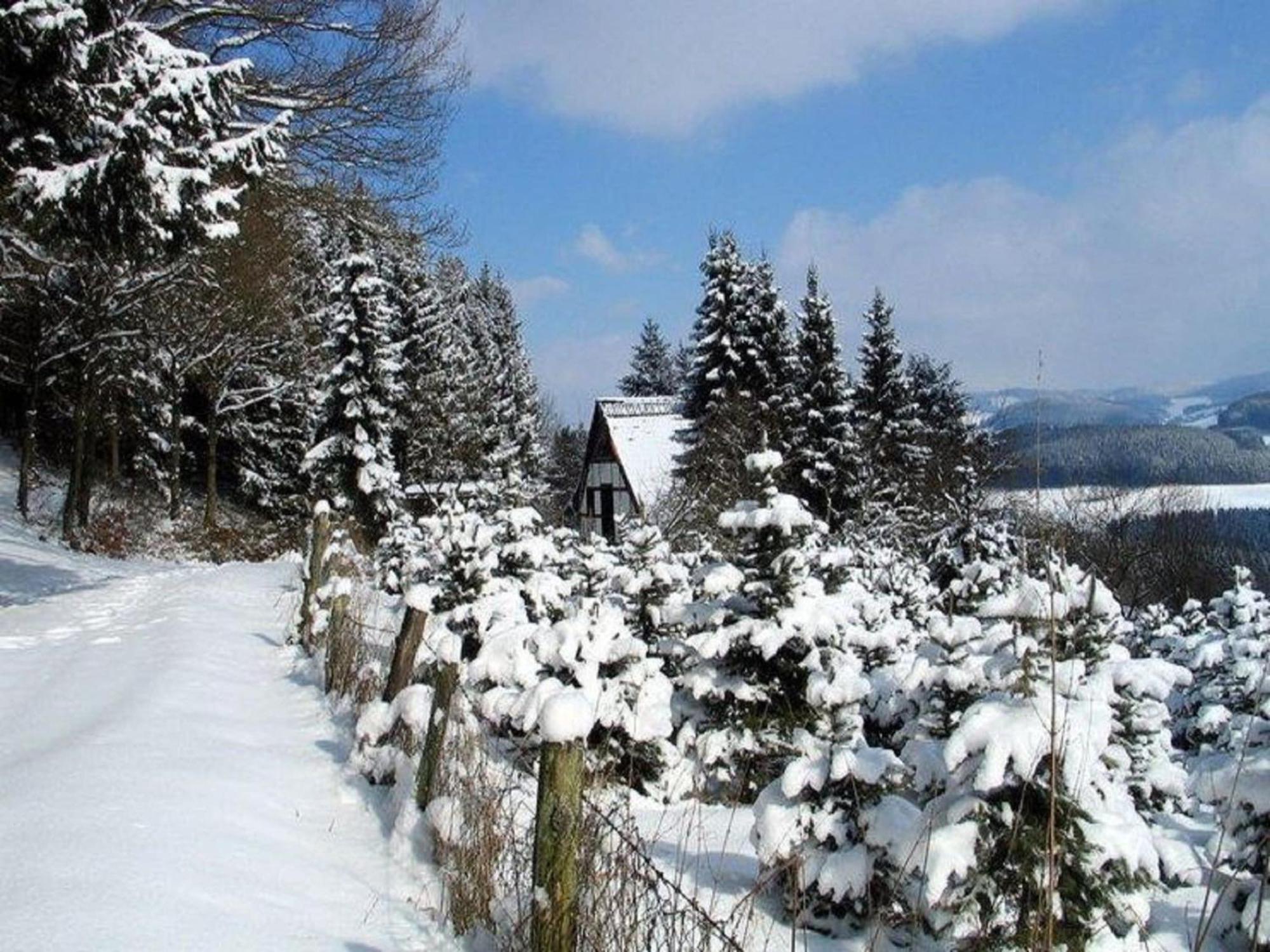 Cosy Apartment In Menkhausen Near The Ski Area Schmallenberg Luaran gambar